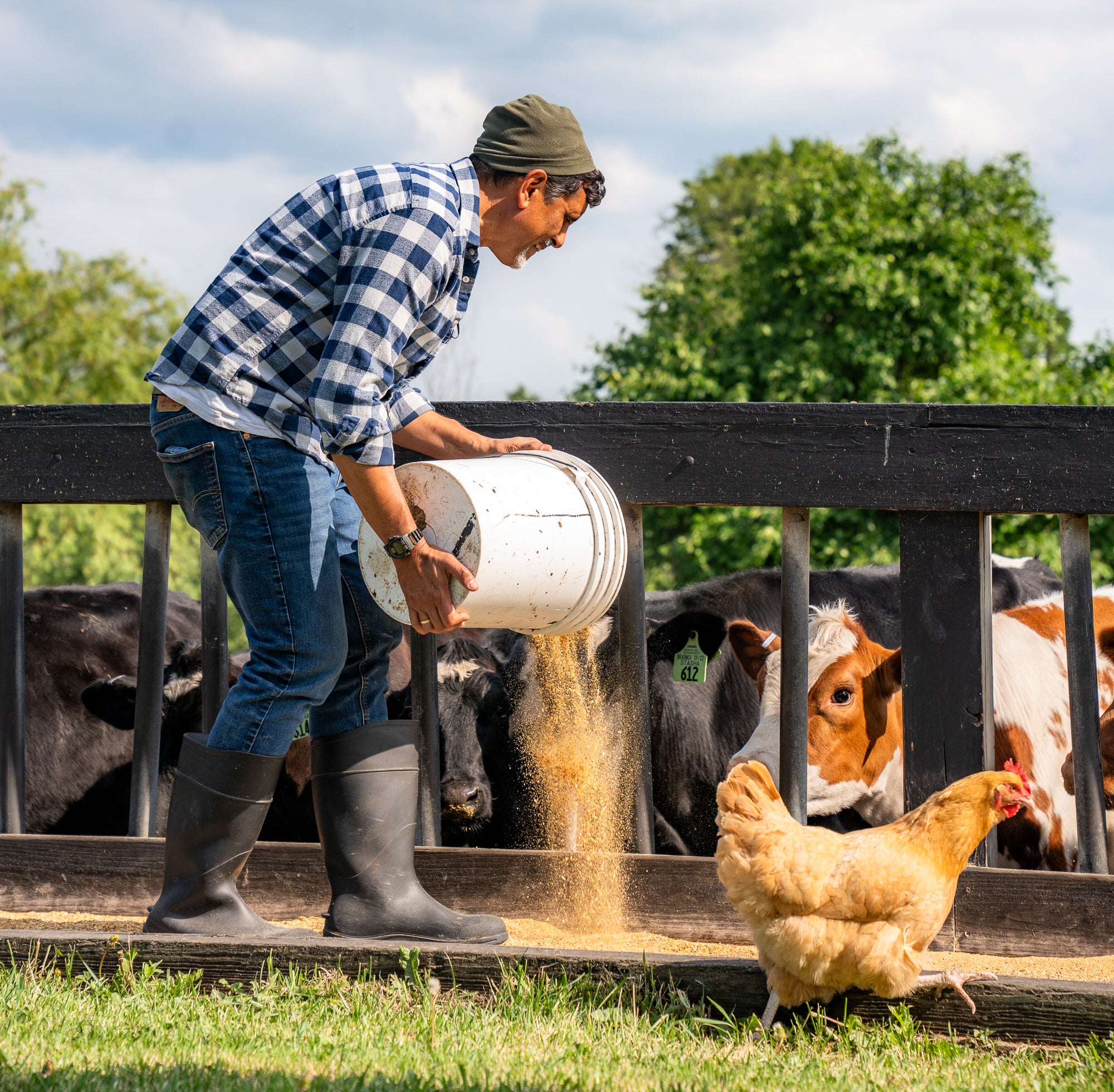 Syrian Date & Walnut – Adirondack Creamery