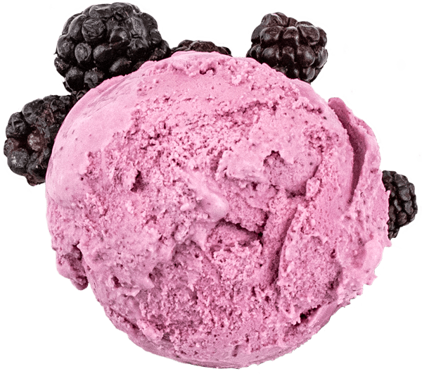  ice cream scoop with blackberries on a transparent background