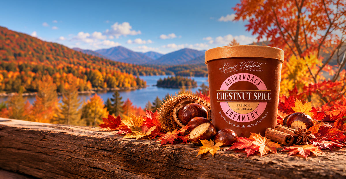 A tub of Great Towns Creamery Antidote Chestnut Spice Creamery ice cream sits on a log outdoors, surrounded by autumn leaves, acorns, and a scenic mountain lake landscape in the background.